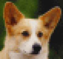tnjrp