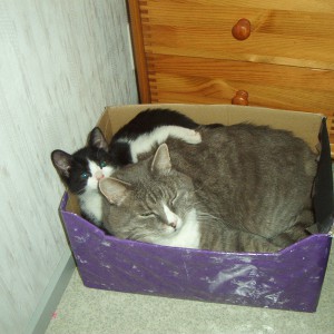 juhannus_ja_keikka_jne_063