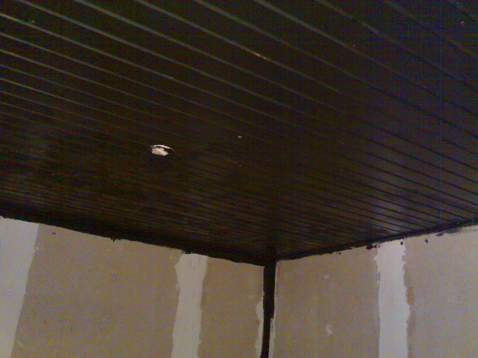 10m2 leffahuone - katto