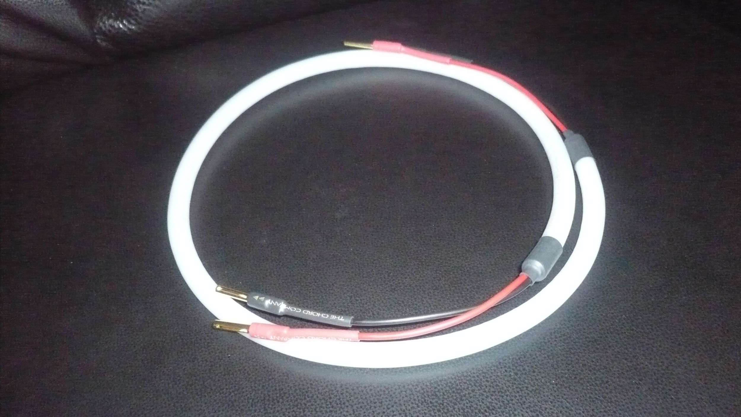 Chord Carnival SilverScreen