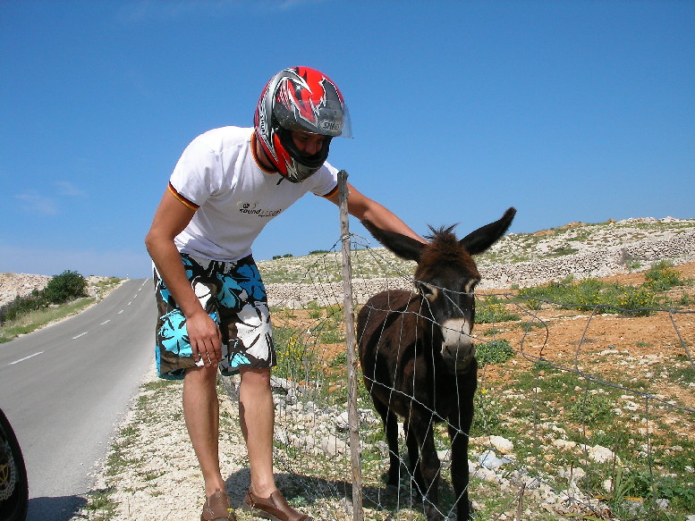 European tour summer 2007