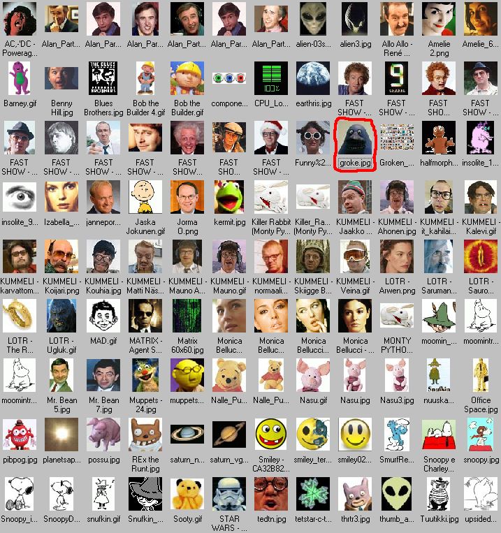 Groken Avatar-ehdokkaat