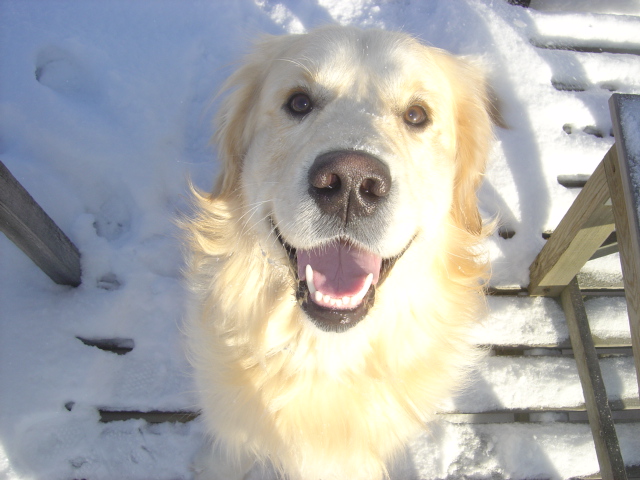 Jalo helmikuussa 2005