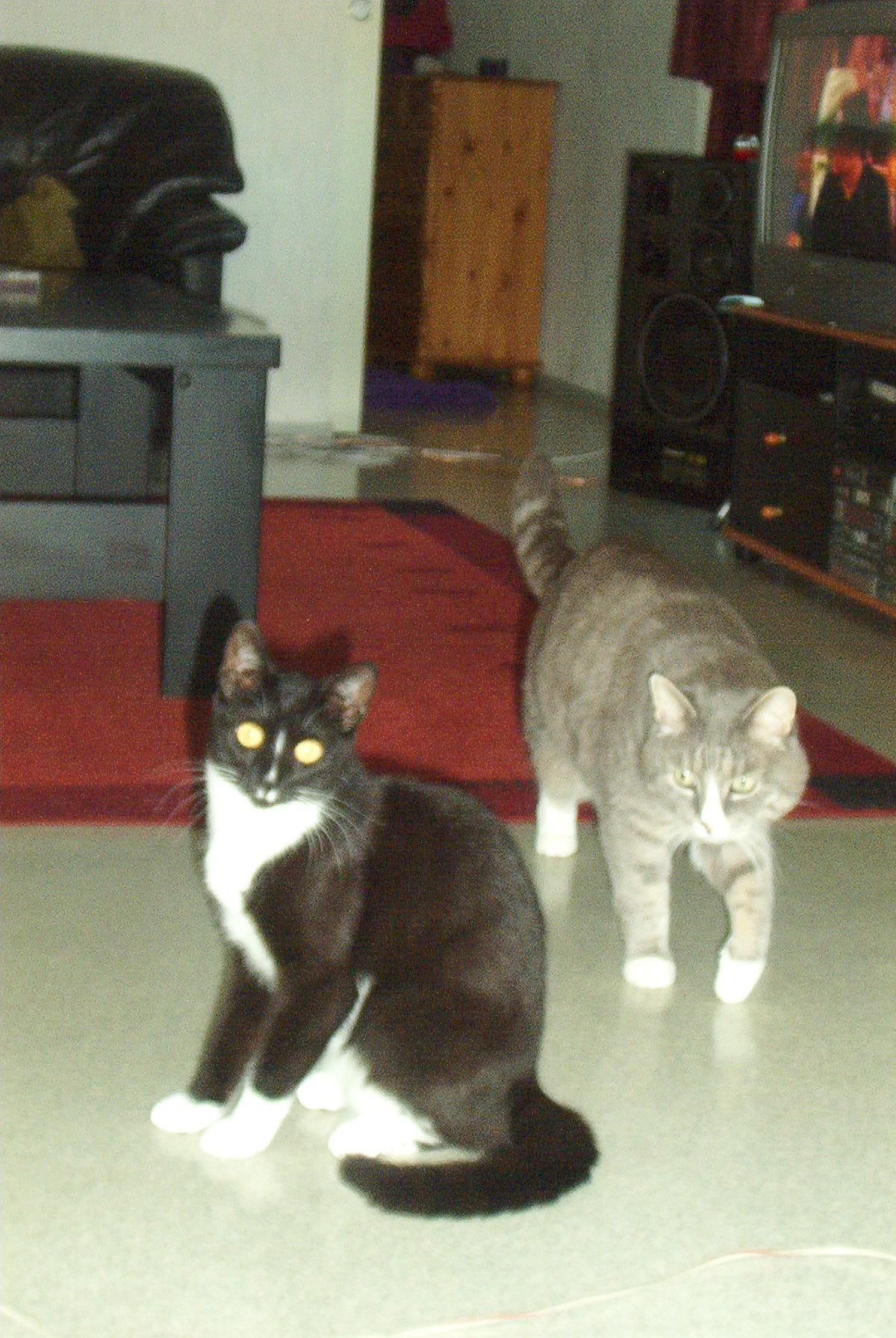 juhannus_ja_keikka_jne_022