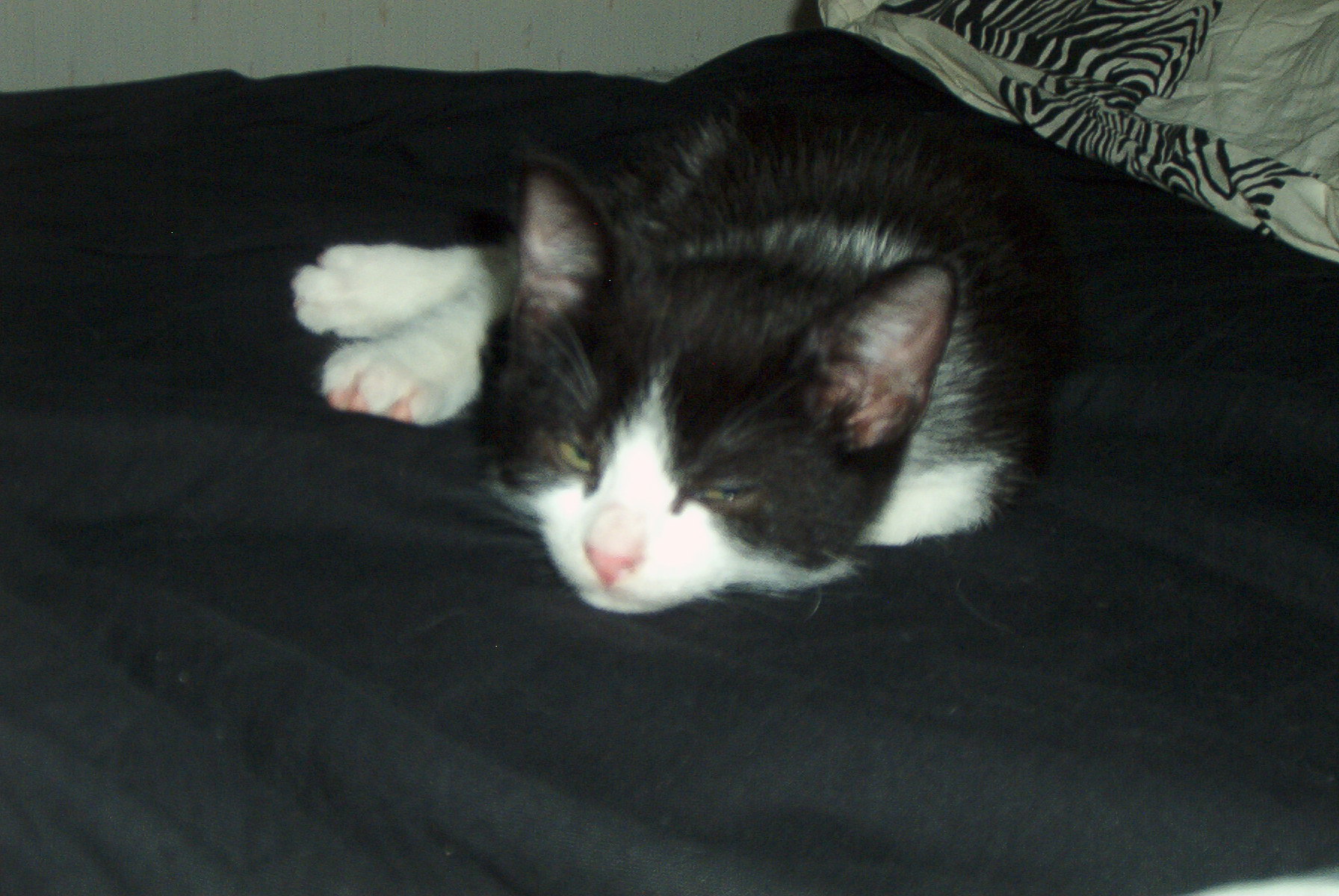 juhannus_ja_keikka_jne_0251