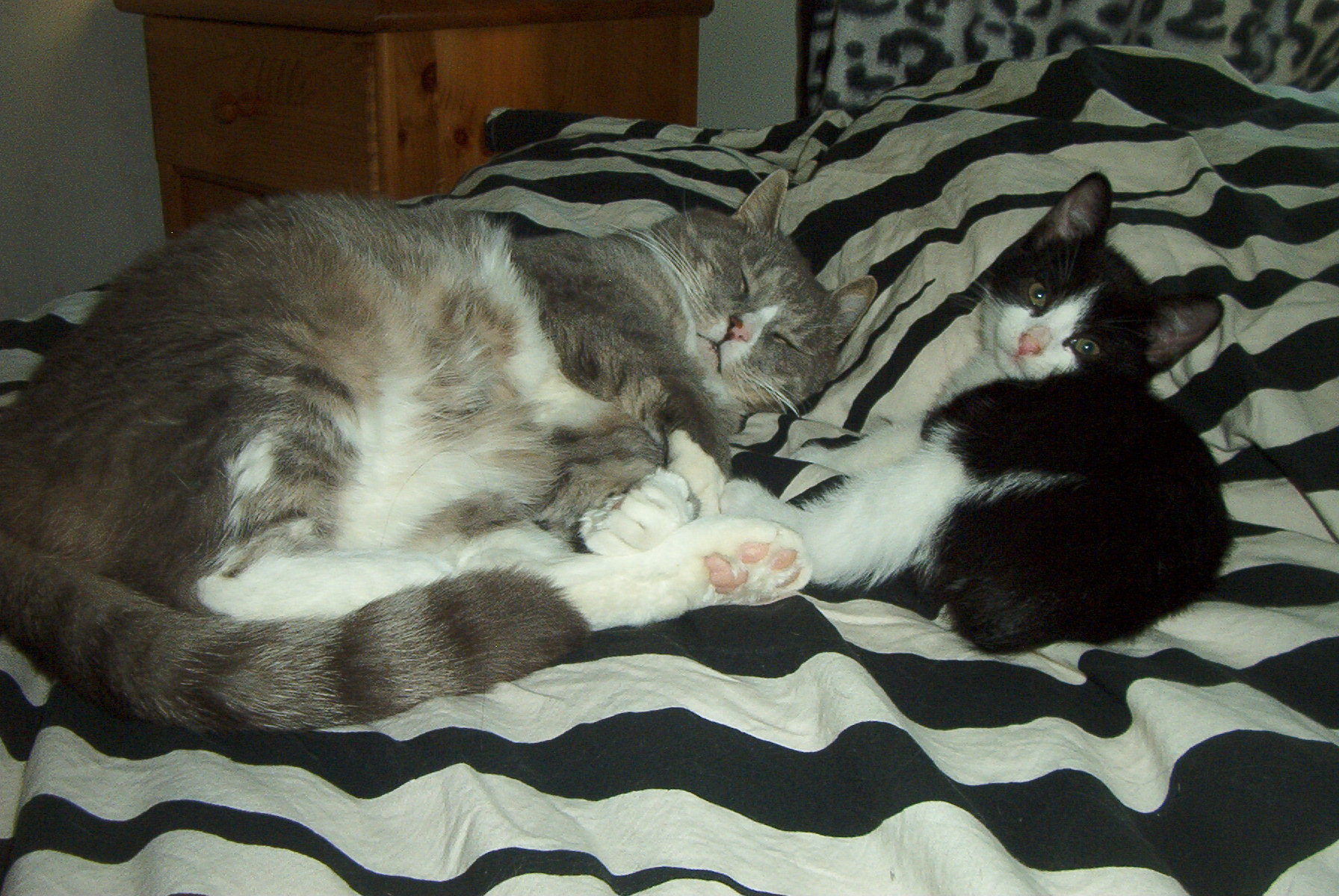 juhannus_ja_keikka_jne_034