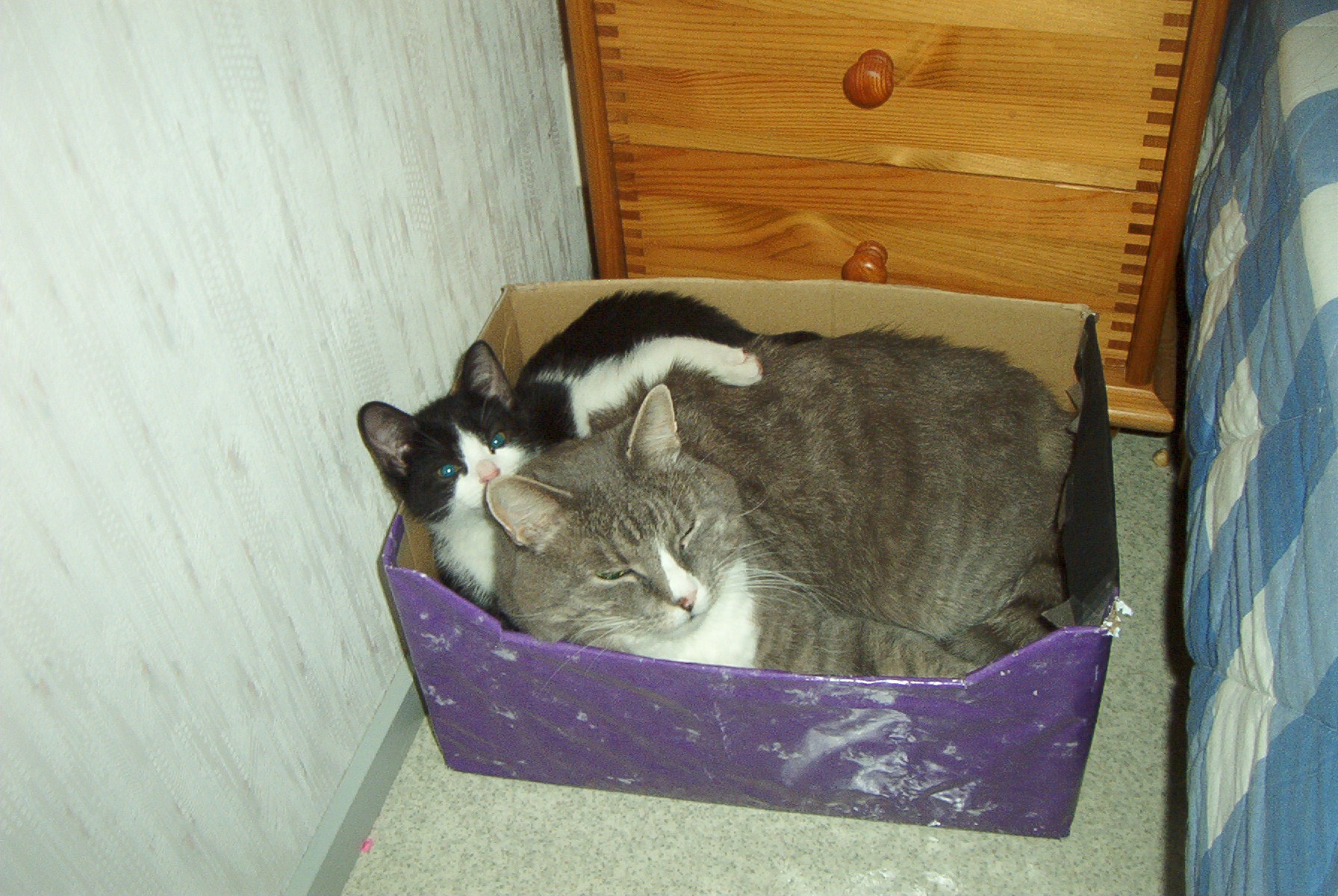 juhannus_ja_keikka_jne_063