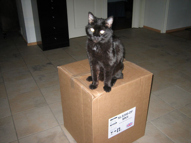 Kissa ja BK XLS200-DF