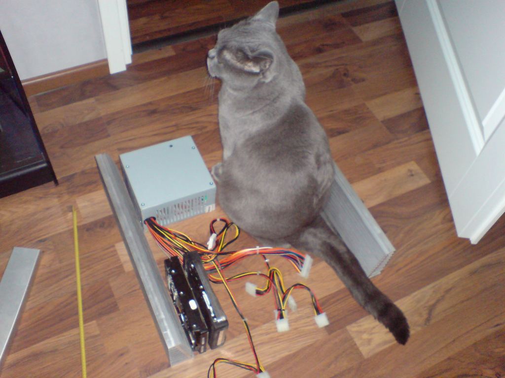 Laaduntarkastaja_vauhdissa