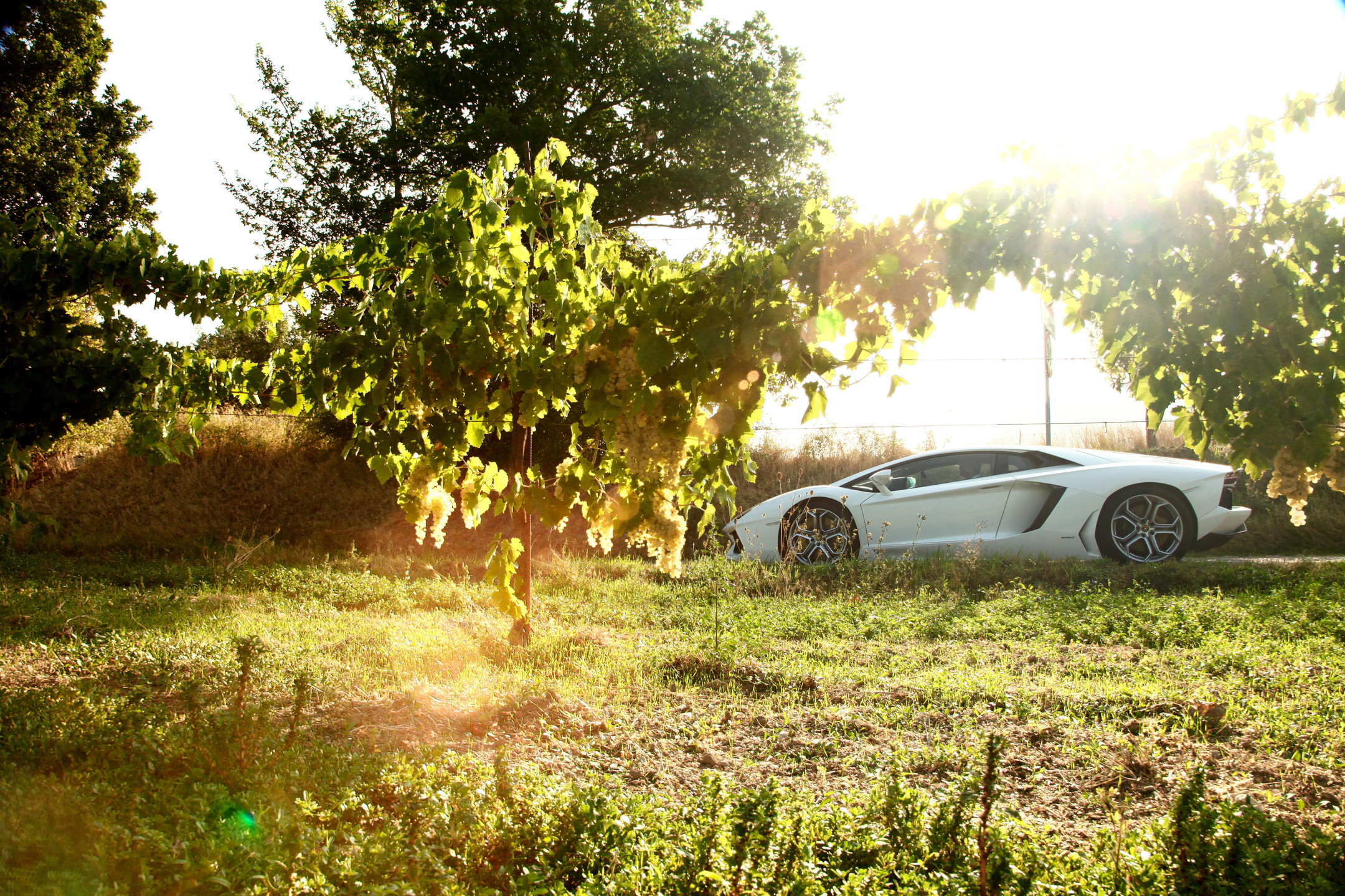 Lamborghini 50th Anniversary - Grande Giro - Preview