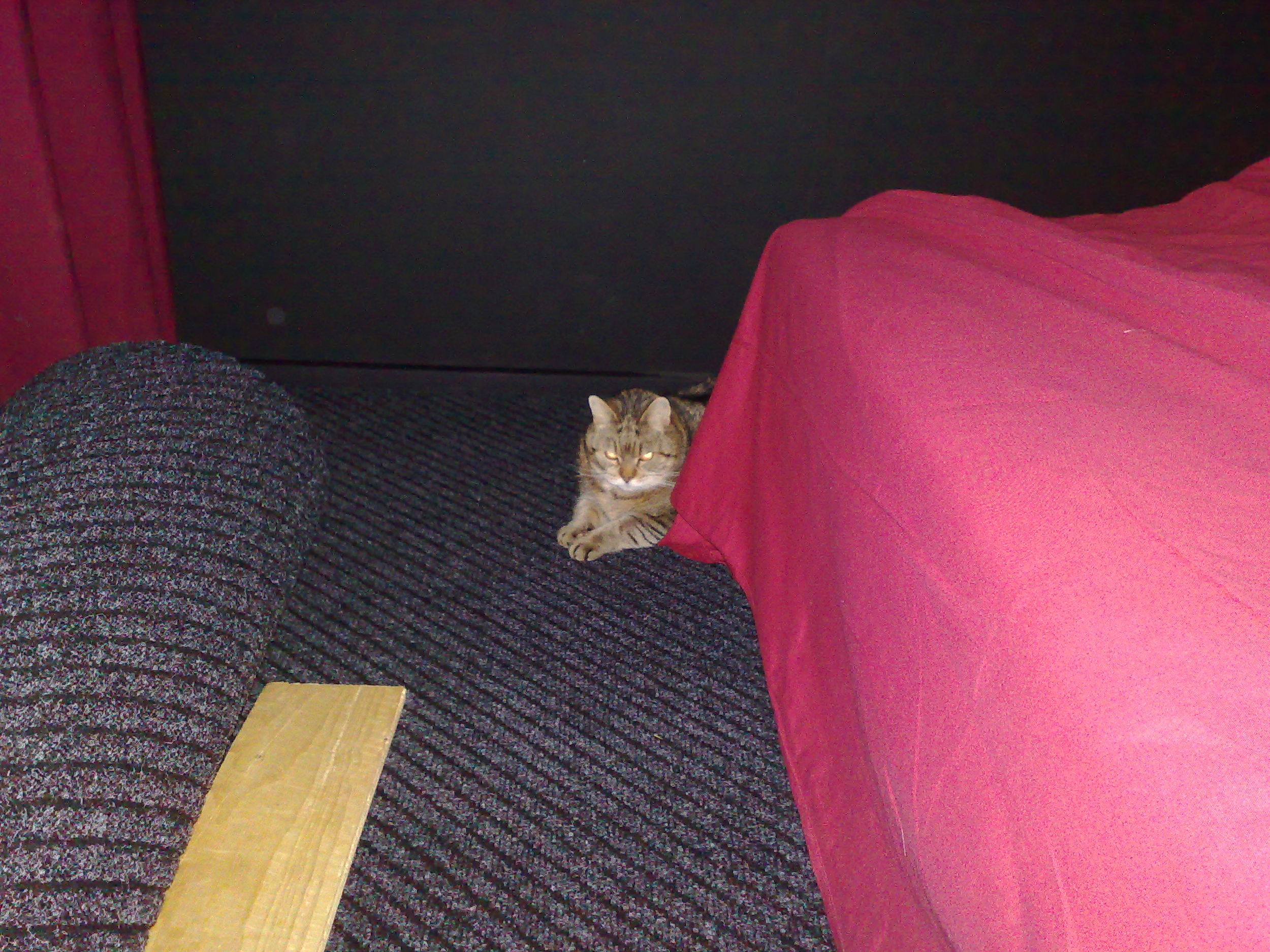 Mattoasennuksen valvoja