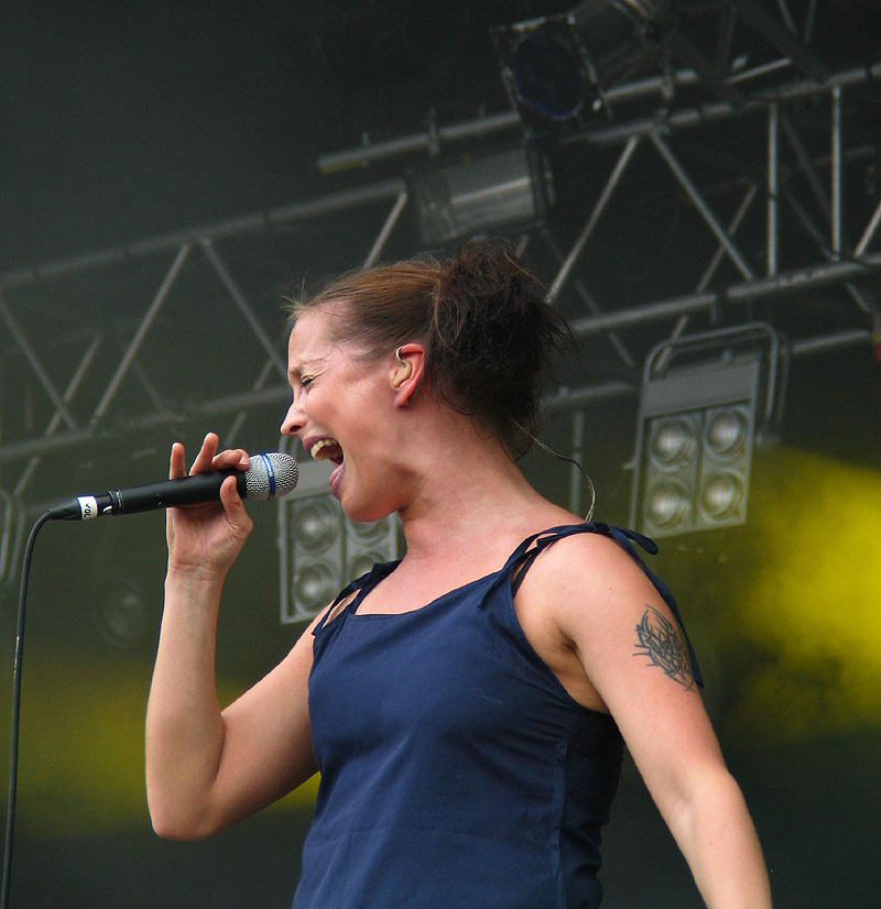 Ruisrock 2006