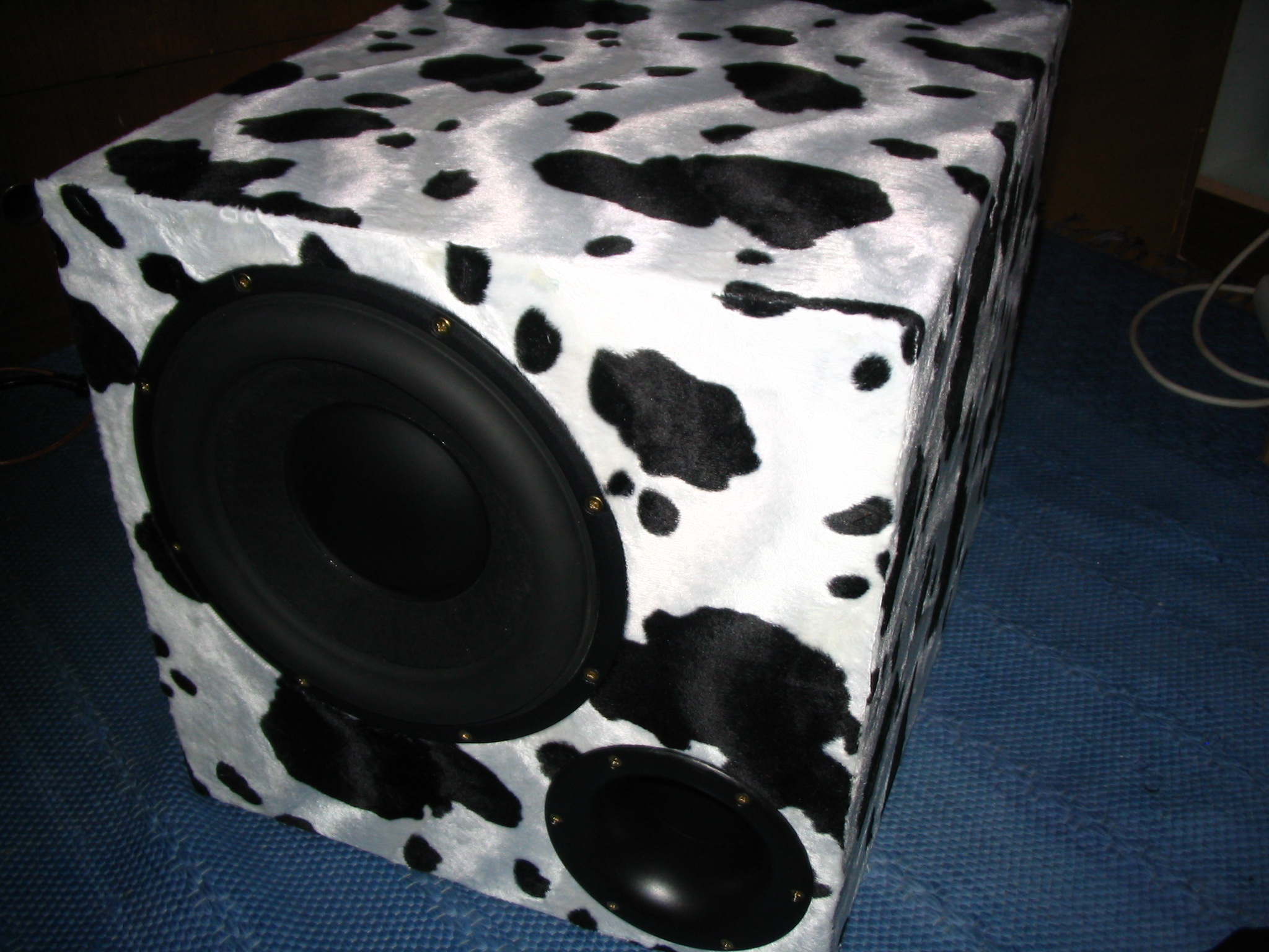 Subwoofer