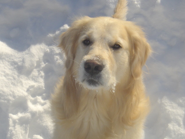 Sulatan sydämesi katse