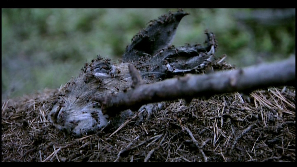 Villmark, Scanbox (ruutukaappauksia)